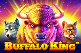 Buffalo King